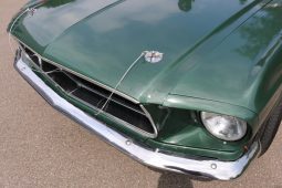 Ford Mustang Coupe 1967 Bullit-Grün 289 V8 voll