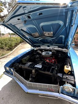 1972 Buick Skylark Blau/Blau voll